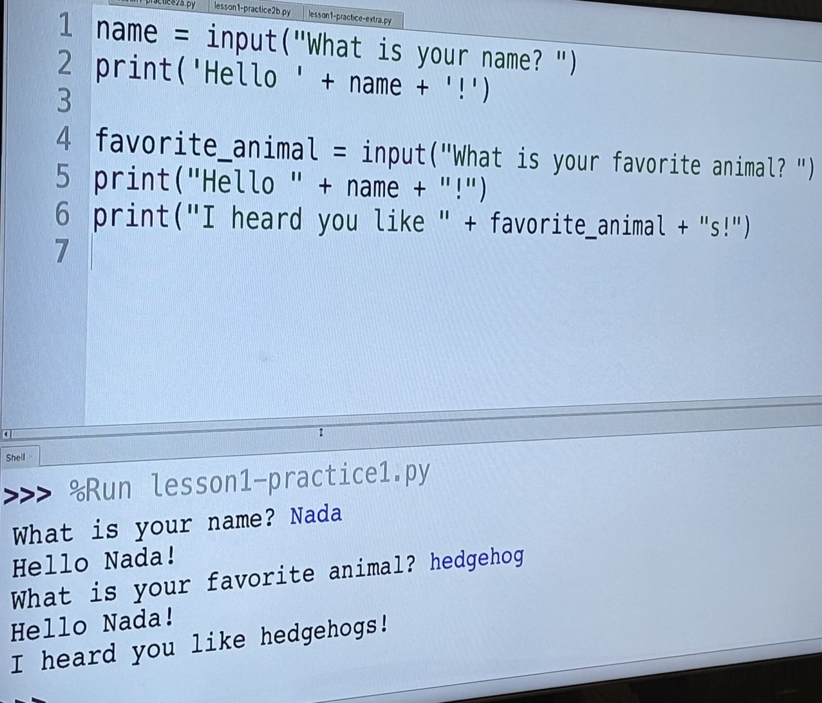 Nada Pivcevic Teaches Computer Coding Class